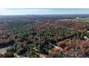 75+/- ACRES Dover Drive, Adams, WI 53910