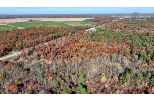 75+/- ACRES Dover Drive, Adams, WI 53910