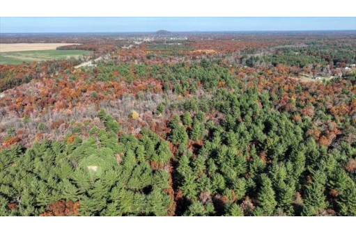 75+/- ACRES Dover Drive, Adams, WI 53910