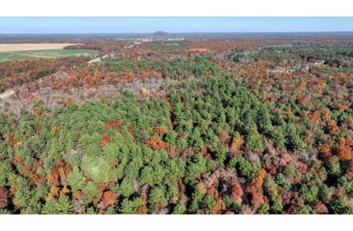 75+/- ACRES Dover Drive, Adams, WI 53910