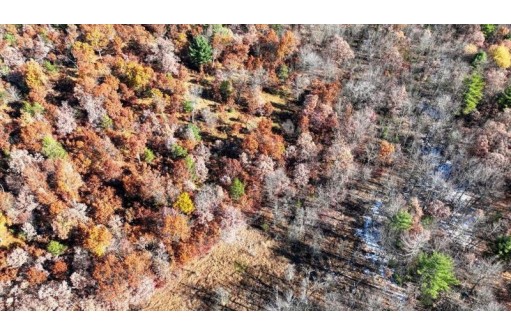 75+/- ACRES Dover Drive, Adams, WI 53910