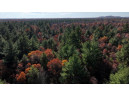 75+/- ACRES Dover Drive, Adams, WI 53910