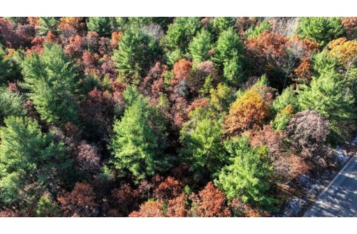 75+/- ACRES Dover Drive, Adams, WI 53910