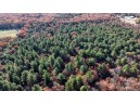 75+/- ACRES Dover Drive, Adams, WI 53910