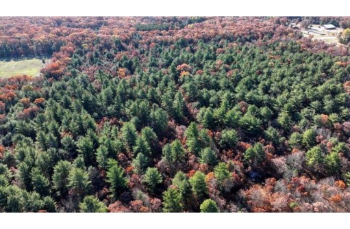 75+/- ACRES Dover Drive, Adams, WI 53910