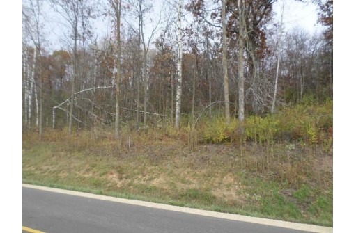 5 ACRES County Road W, Elroy, WI 53929