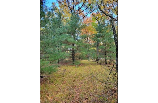 LOT 55 19th Creek, Arkdale, WI 54613