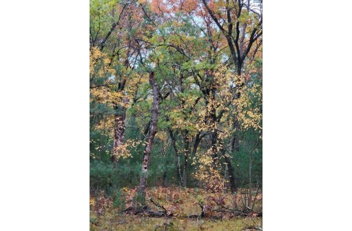 LOT 55 19th Creek, Arkdale, WI 54613