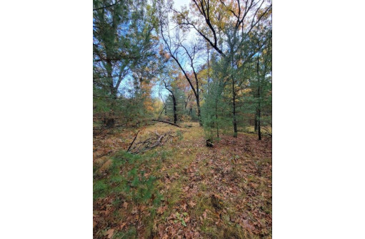 LOT 55 19th Creek, Arkdale, WI 54613