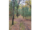 LOT 55 19th Creek, Arkdale, WI 54613