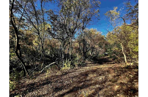 31.5 AC. Highway 39, New Glarus, WI 53574