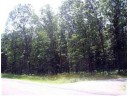 LOT 11 County Road N, Wisconsin Dells, WI 53965