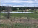 LOT 35 S Czech Court, Arkdale, WI 54613