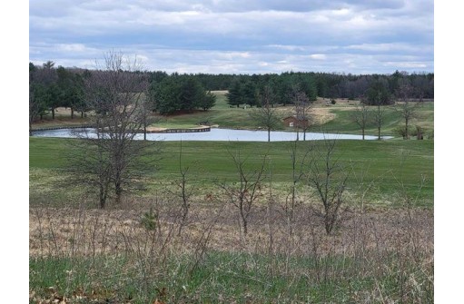 LOT 35 S Czech Court, Arkdale, WI 54613