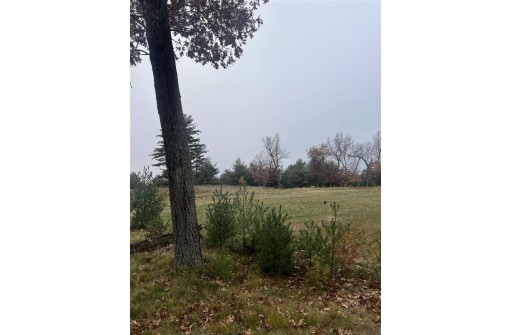 LOT 35 S Czech Court, Arkdale, WI 54613