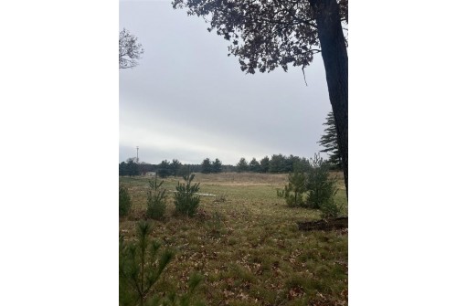 LOT 35 S Czech Court, Arkdale, WI 54613