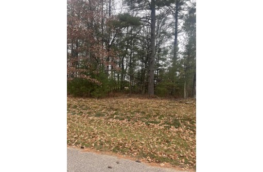 LOT 35 S Czech Court, Arkdale, WI 54613