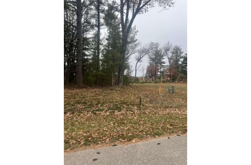 LOT 35 S Czech Court, Arkdale, WI 54613