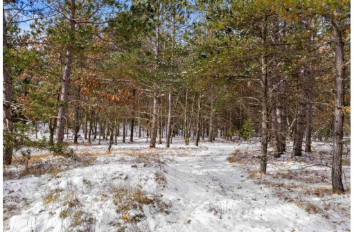 1341A Arrowhead Trail, Nekoosa, WI 54457