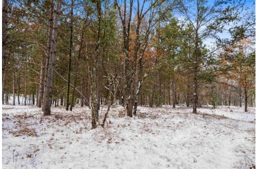 1341A Arrowhead Trail, Nekoosa, WI 54457