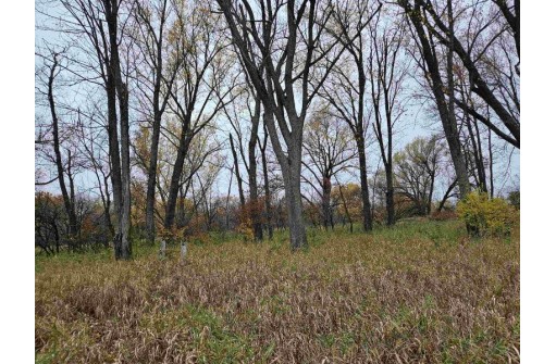 95.69 ACRES Highway 33, La Valle, WI 53941