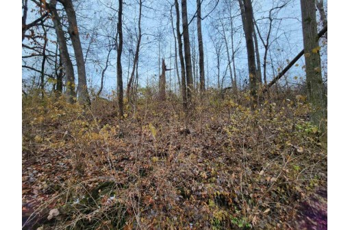 80+/- ACRES Mellen Lane, Richland Center, WI 53581