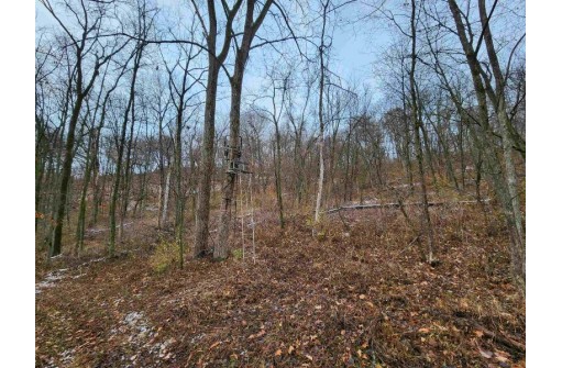 80+/- ACRES Mellen Lane, Richland Center, WI 53581