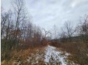 80+/- ACRES Mellen Lane, Richland Center, WI 53581