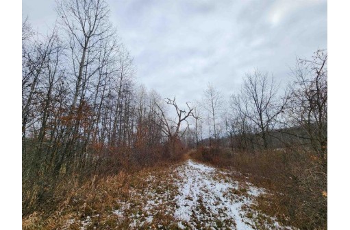 80+/- ACRES Mellen Lane, Richland Center, WI 53581