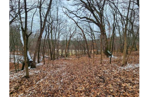 80+/- ACRES Mellen Lane, Richland Center, WI 53581