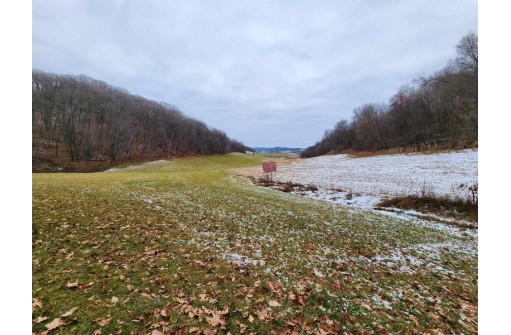 80+/- ACRES Mellen Lane, Richland Center, WI 53581