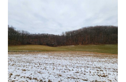 80+/- ACRES Mellen Lane, Richland Center, WI 53581