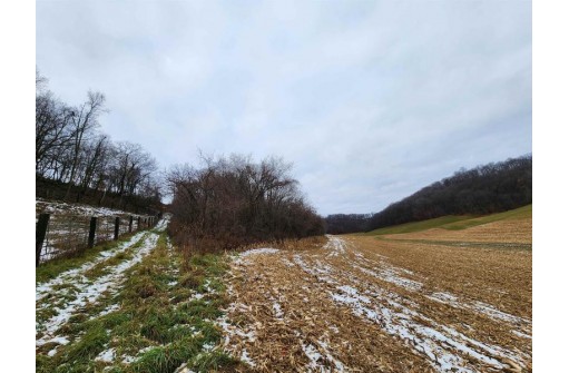 80+/- ACRES Mellen Lane, Richland Center, WI 53581