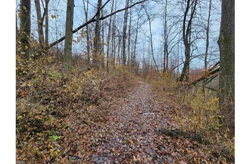 80+/- ACRES Mellen Lane, Richland Center, WI 53581