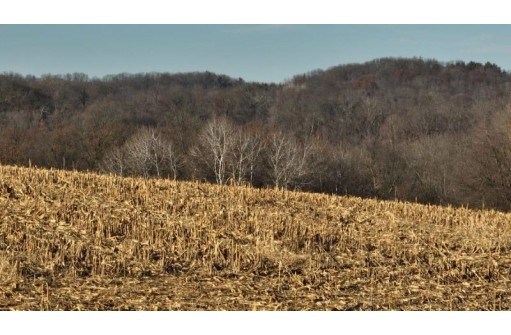 42.84 AC Farmers Ridge Road, Highland, WI 53543