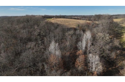 42.84 AC Farmers Ridge Road, Highland, WI 53543