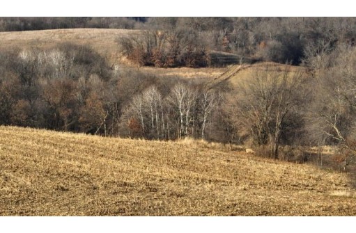 42.84 AC Farmers Ridge Road, Highland, WI 53543