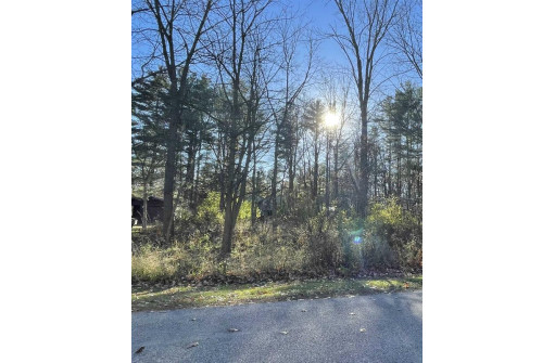 LOT 6 Poplar Avenue, Cambridge, WI 53523