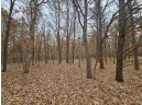 5.41 ACRES Koval Road, Lyndon Station, WI 53944