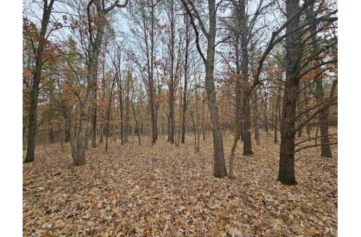 5.41 ACRES Koval Road, Lyndon Station, WI 53944