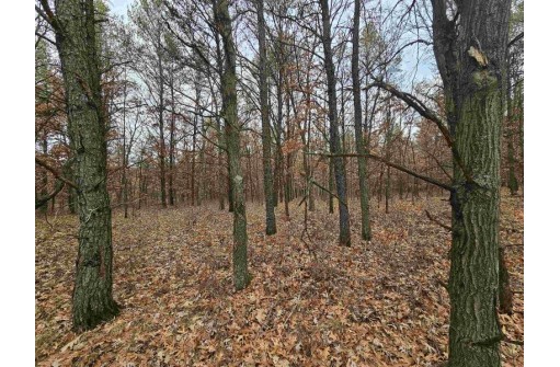 5.41 ACRES Koval Road, Lyndon Station, WI 53944