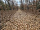 5.41 ACRES Koval Road, Lyndon Station, WI 53944