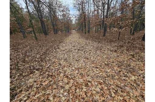 5.41 ACRES Koval Road, Lyndon Station, WI 53944