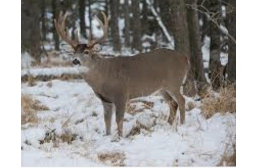 5.41 ACRES Koval Road, Lyndon Station, WI 53944