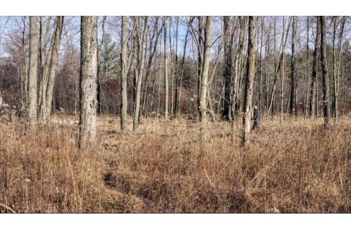 88.7+/- ACRES Highway 80, New Lisbon, WI 53950