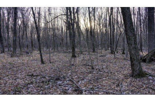 88.7+/- ACRES Highway 80, New Lisbon, WI 53950