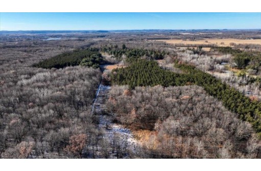 88.7+/- ACRES Highway 80, New Lisbon, WI 53950