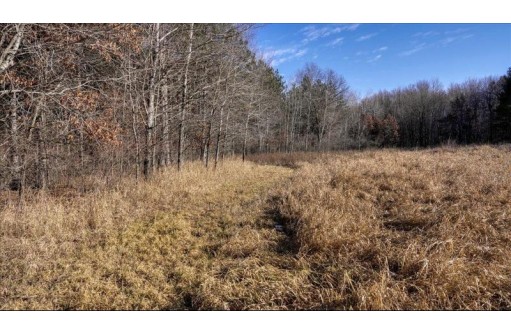 88.7+/- ACRES Highway 80, New Lisbon, WI 53950