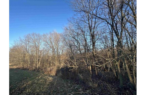 14.93 AC County Road J, Monticello, WI 53570