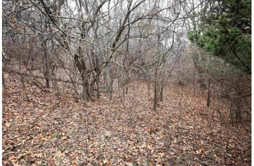 LOT 29 Summit Drive, Pardeeville, WI 53954